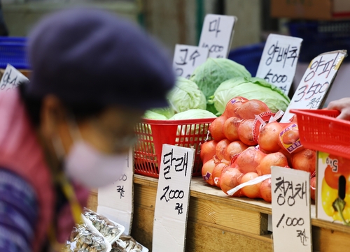 서울 시내 전통시장 채소가게에서 채소를 고르는 시민(2023.11.5)
[연합뉴스 자료사진]