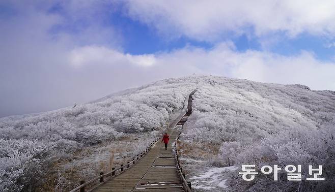 지리산 3대 주봉 중 하나인 노고단 정상에 상고대가 피어 하얀 세상으로 변했다. 눈이 내리지 않아도 온도와 습도, 바람이 만들어 내는 산 정상 부근의 상고대는 겨울 산에서만 만날 수 있는 자연의 예술 작품이다.