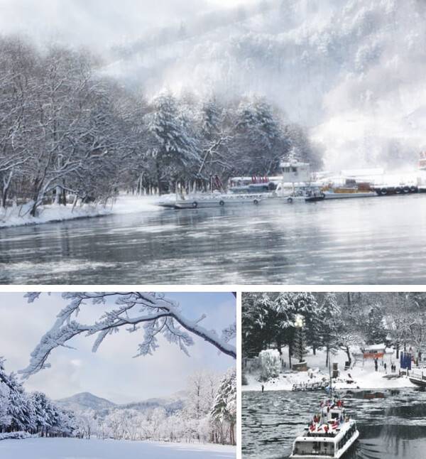 온라인 커뮤니티