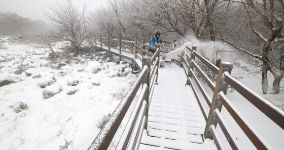 눈이 내린 제주 한라산국립공원(사진=연합뉴스).