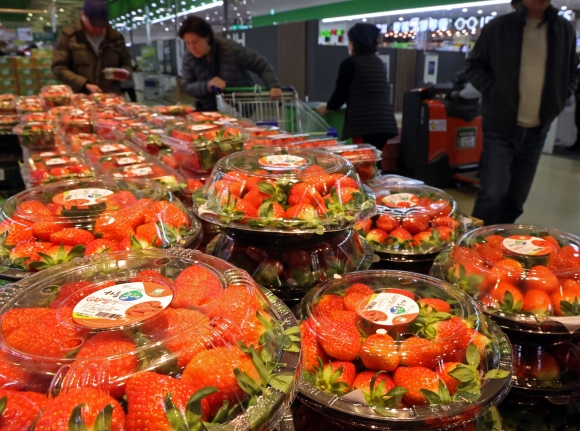 딸기 가격 급등 - 지난 7일 한국농수산식품유통공사(aT)에 따르면 서울 가락시장에서 딸기(특등급) 2㎏는 지난해보다 38.8% 급등한 5만8035원에 거래됐다. 2023.12.10. 뉴시스