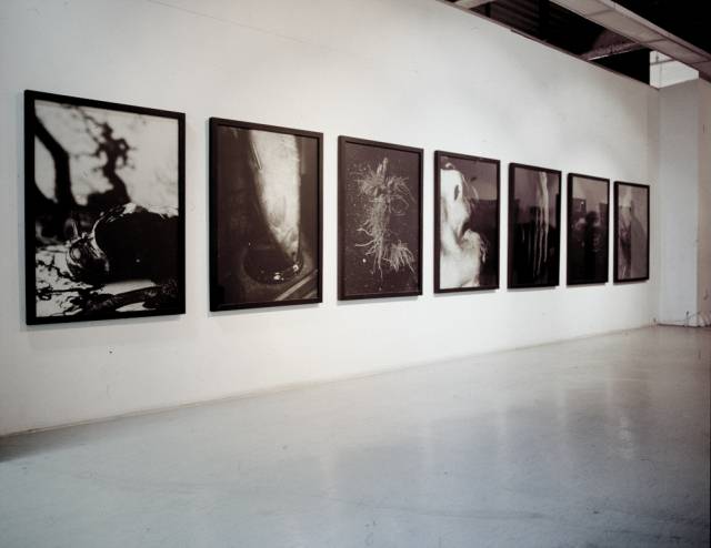 구본창 개인전 전시 전경. 사진 제공=서울시립미술관