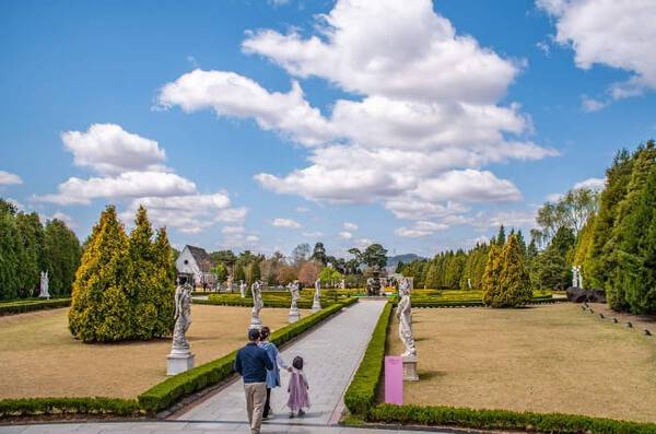 온라인 커뮤니티