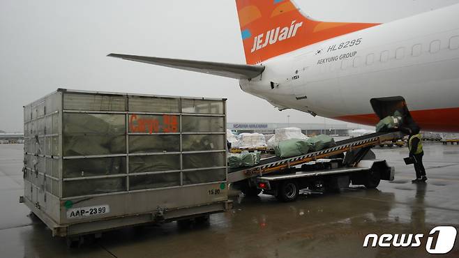 인천공항 화물청사에서 지상조업인력이 제주항공 화물기에 화물을 내리고 있다. 2023.12.14/뉴스1 ⓒ News1 금준혁 기자
