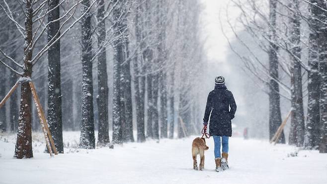춥다고 집에만 있다가는 활동량이 줄어들면서 근력이 떨어지고 정신적인 우울감마저 생길 수 있어 야외 활동도 조금씩 필요하다. [사진=클립아트코리아]