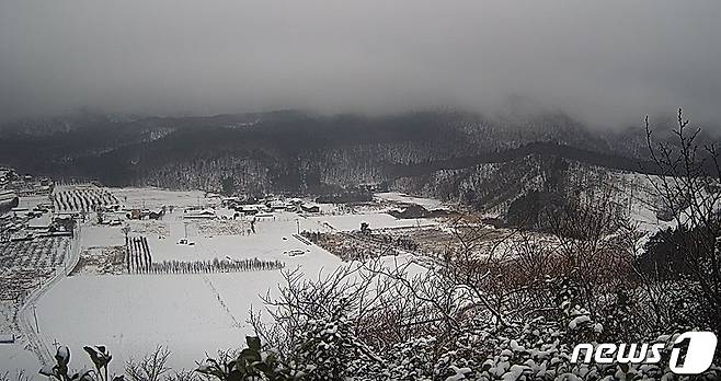 20일 오전 대설경보가 발효된 경북 울릉군 도동 나리분지가 하얀 눈에 덮여있다.(울릉군청홈페이지갈무리)2023.12.20/뉴스1 ⓒ News1 최창호 기자