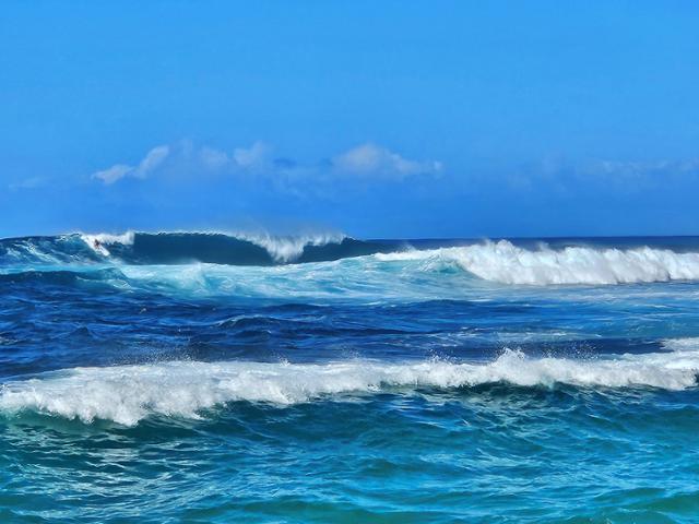 오아후섬의 바다는 파도가 높아 서핑을 하기에 적격이다.
