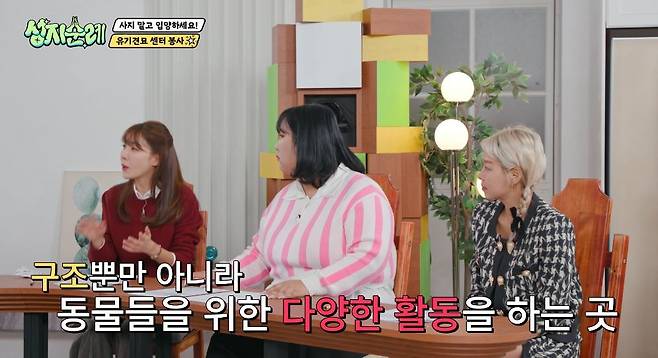 사진=MBC에브리원 ‘성지순례’ 캡처