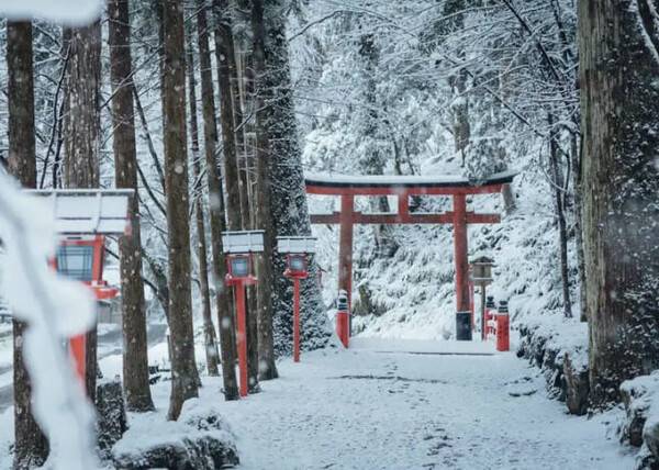 온라인 커뮤니티