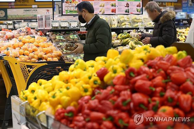 한은 "물가 상승률 하락 속도 더딜 것" [연합뉴스 자료사진]