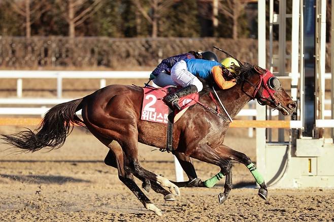 그랑프리 2연패 성공한 위너스맨과 서승운 기수. 사진 | 한국마사회