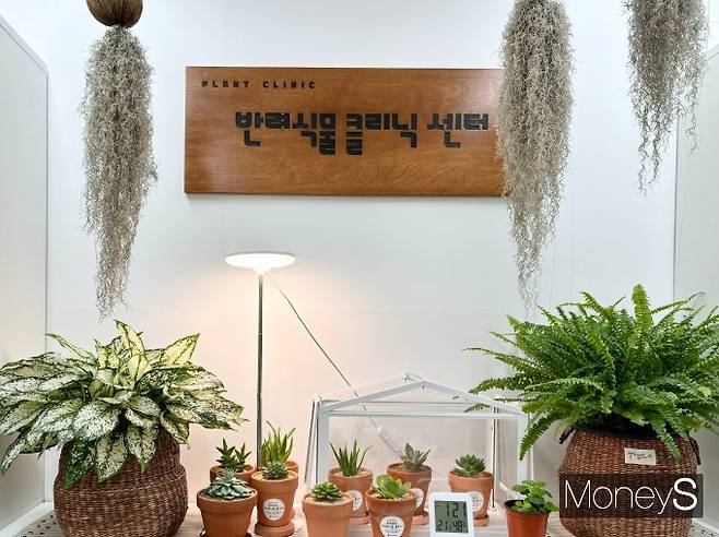 '식집사'(반려식물을 기르는 사람)가 미디어에서 자주 노출되며 Z세대 사이에서 '반려식물' 열풍이 불고 있다. 사진은 동대문구 반려식물 클리닉 센터 내부 모습. /사진=윤지영 기자