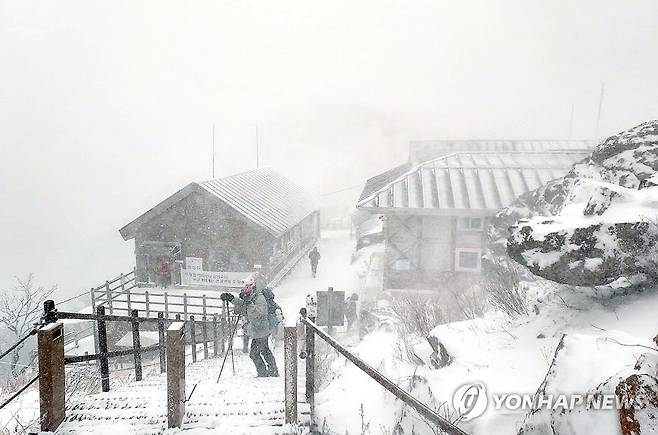 주말 전국 강추위…수도권·제주 등 서쪽 지역에 눈 '펑펑' [연합뉴스 자료사진]