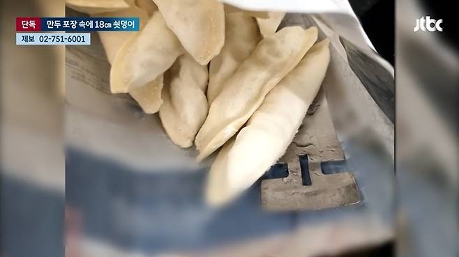 (JTBC 뉴스 갈무리)