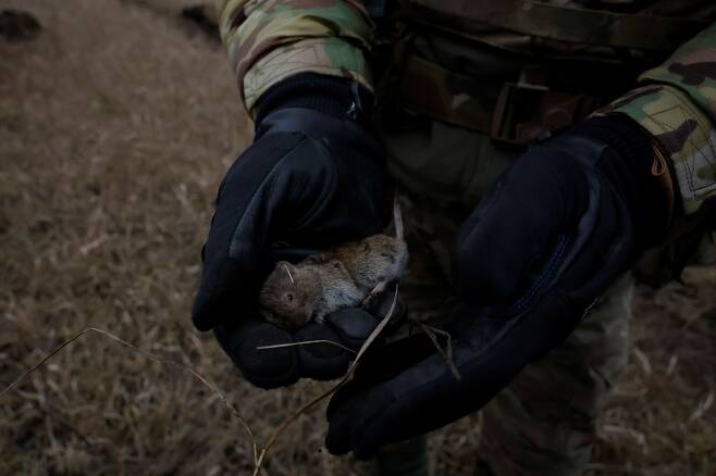 우크라이나 바흐무트 전장에서 한 병사가 쥐를 들고 있는 모습. /로이터 연합뉴스