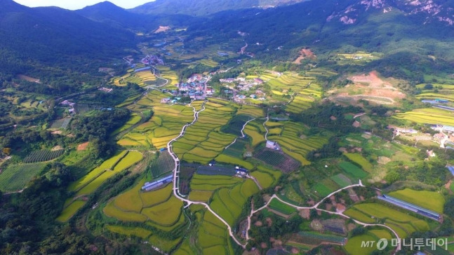 농촌 전경(본문과 직접 관련 없음).