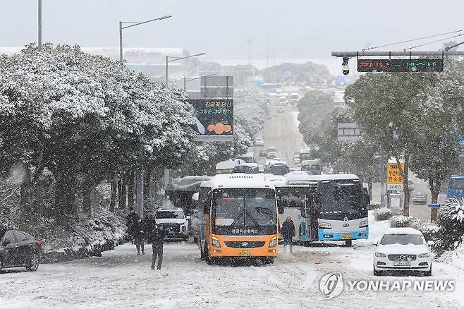 폭설에 마비된 도로 (제주=연합뉴스) 박지호 기자 = 폭설이 쏟아진 22일 오전 제주시 공항로가 눈길에 미끄러진 차량이 엉켜 마비돼 있다. 2023.12.22 jihopark@yna.co.kr