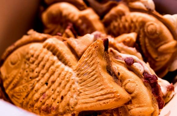 이미지는 기사와 무관. [사진=픽사베이]