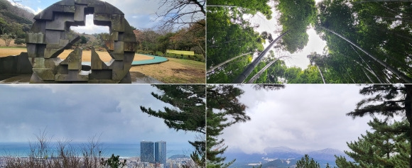 한라수목원(위)과 광이오름 정상에서 바라본 노형동 시내 모습과 한라산 설경. 제주 강동삼 기자