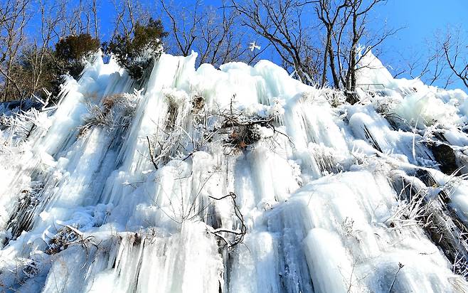 화천산천어축제장 주변 얼어붙은 인공폭포 [촬영 이상학 기자]