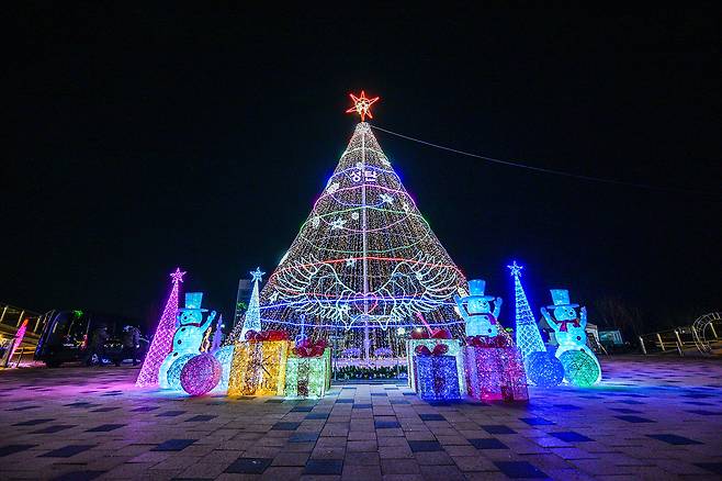 세종빛축제가 열리는 세종시청 앞 이응다리에 마련된 성탄트리. / 뉴스1