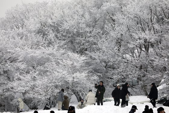 성탄절을 하루 앞둔 24일 제주시 한라산 1100고지 휴게소에서 도민과 관광객들이 설경을 보며 즐거운 시간을 보내고 있다. 뉴스1