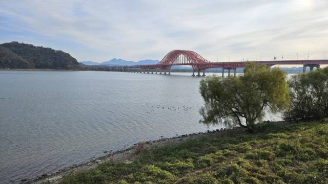 ▲ 강서습지생태공원에 깃든 철새들은 유람선의 두배속으로 달리는 리버버스에 시달릴 위기에 처했다. ⓒ서울환경연합