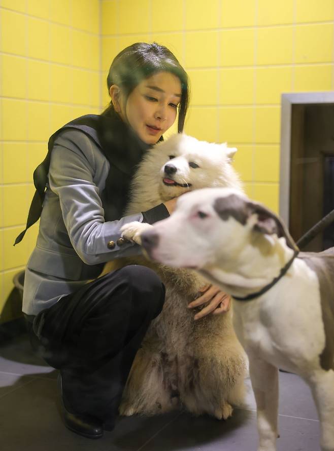 김건희 여사가 12일 오후(현지시간) 네덜란드 암스테르담 동물보호재단을 찾아 학대당하고 버려진 강아지들을 쓰다듬고 있다. / 사진=대통령실