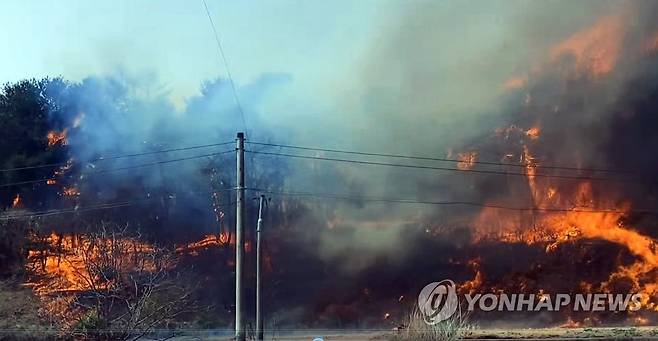 강릉 산불...불길 치솟던 현장 (강릉=연합뉴스) 11일 오전 강원 강릉시 난곡동의 한 야산에서 난 불이 확산돼 큰 피해를 주고 8시간여만에 진화됐다. 사진은 산불 발생 당시 모습. 2023.4.11 [산림청  제공.재판매 및 DB 금지] hak@yna.co.kr