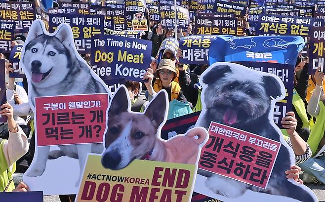 지난 10월 29일 서울 여의도 국회 앞에서 열린 '2023 개 식용 금지법 제정 촉구 국민대집회'에서 참가자들이 구호를 외치고 있다. /연합뉴스