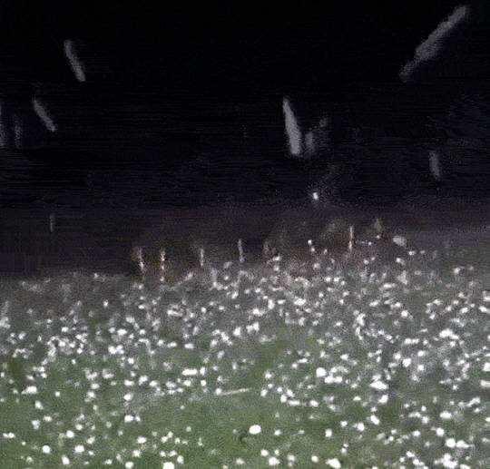 한 여름 호주를 강타한 우박 폭풍. 엑스(옛 트위터) 캡처