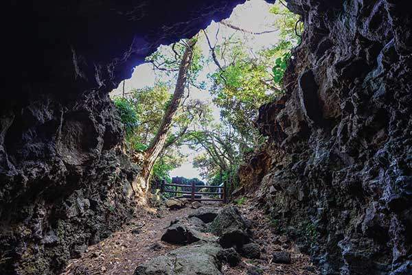 서우봉의 한 일제 진지동굴 내부에서 본 입구. 붕괴위험이 있으니 주의해야 한다.
