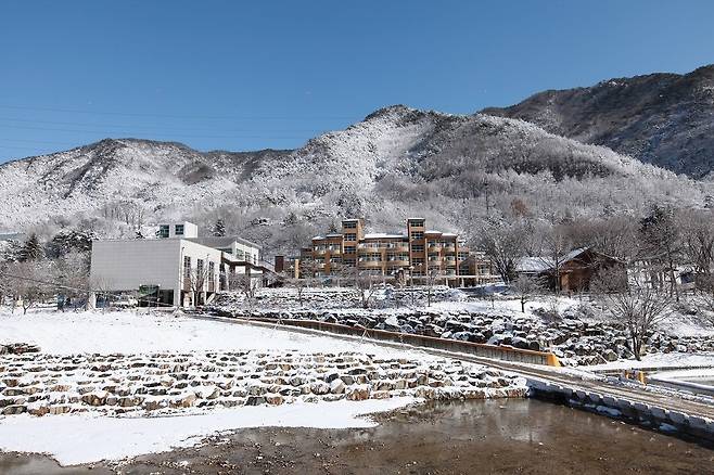 장령산 자연휴양림 전경. 사진제공ㅣ옥천군청