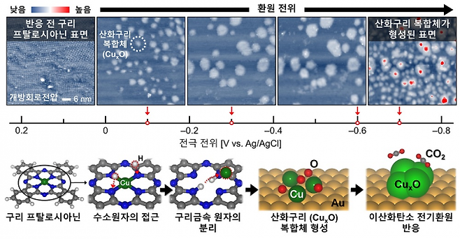 전기화학 주사 터널링 현미경을 활용한 이산화탄소 전기환원 관찰 및 구리 프탈로시아닌 유기 분자의 산화구리 복합체 형성과정 규명을 나타낸 모식도. KAIST 제공