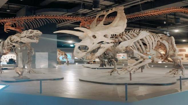 대구 실내 여행지