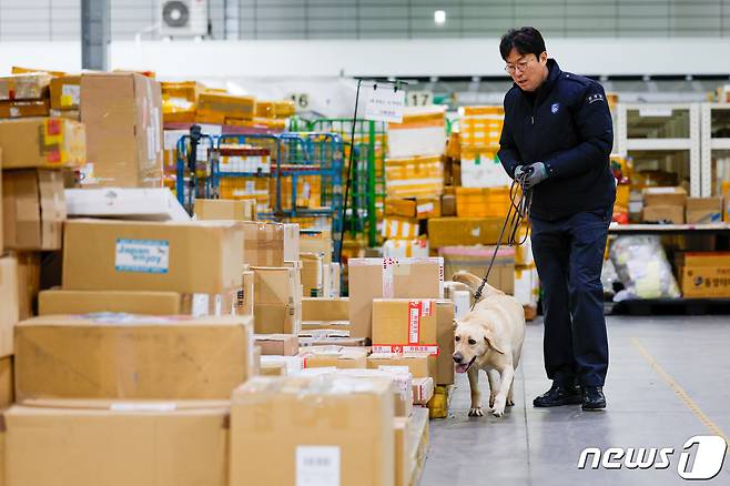 탐지견 이온(2·래브라도 리트리버)과 탐지조사요원 김현욱 주무관(50)이 인천공항세관 특송물류센터에서 해외에서 배송된 수화물을 탐지하고 있다. ⓒ News1 안은나 기자