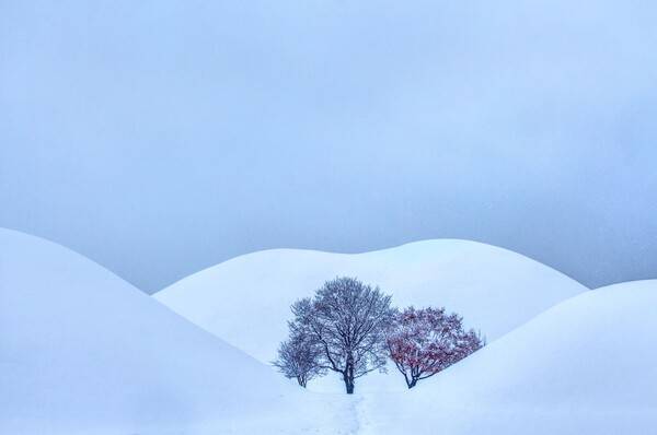 온라인 커뮤니티