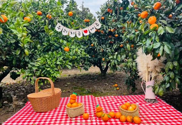 온라인 커뮤니티