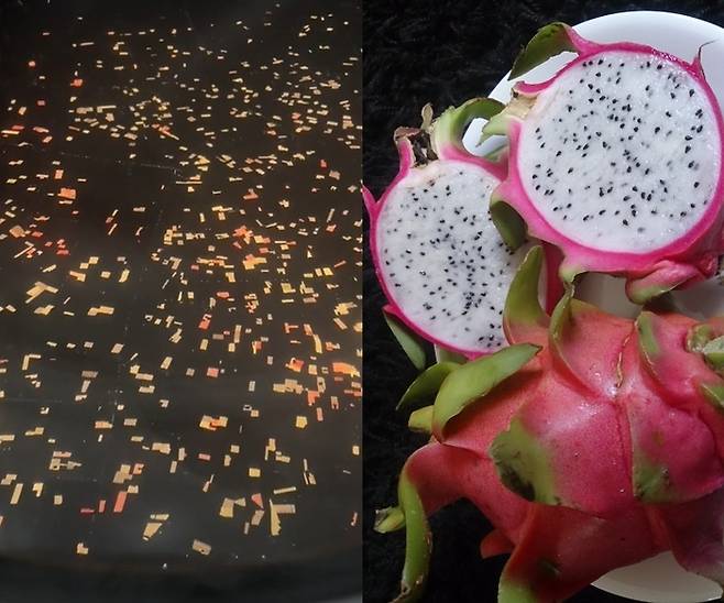 지난 9일 한 틱톡 이용자가 정체가 궁금하다며 공유한 풍경 사진. 정체는 용과 농장이었다. 사진=틱톡(brad..stewart1572) 캡처/위키미디어 커먼즈