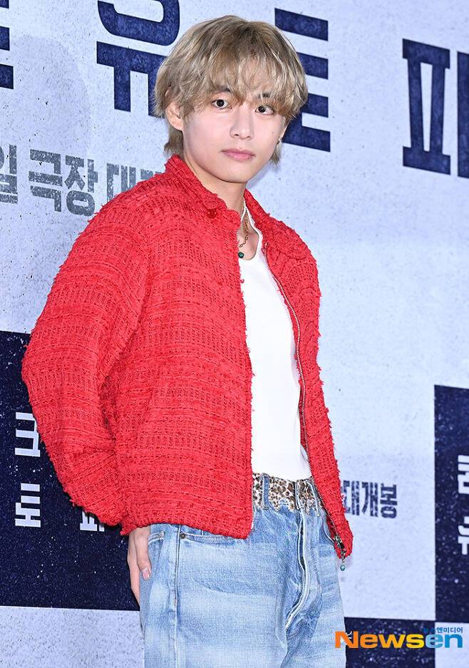 뷔 (뉴스엔DB)