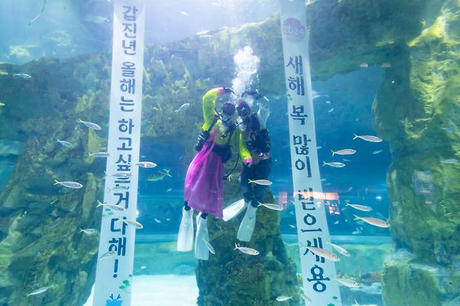 ◇롯데월드 아쿠아리움의 메인수조 이벤트.