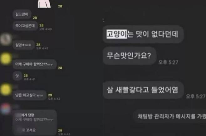 고어전문방 실제 카톡 일부 [사진 = 연합뉴스]