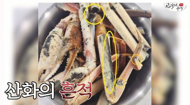 지난달 23일 온라인커뮤니티에 올라온 '썩은 대게' 관련 사진./유튜브채널 '입질의 추억', 온라인커뮤니티