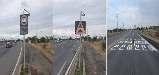 제주시 일주동로에 설치된 안내판과 노면표시(제주도세계유산본부 제공)