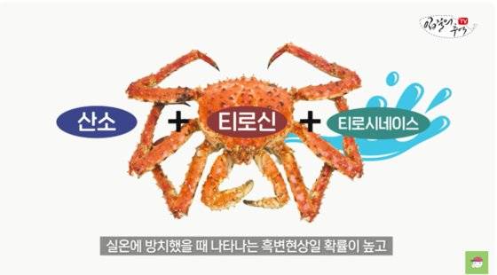 대게 흑변현상 원인. 사진 유튜브 화면 캡처