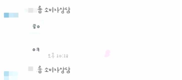 한 소비자가 임신테스트기 오류를 항의했더니 제약회사 상담 채팅방을 통해 'ㅎㅇ'(하이), 'ㅇㅋ'(오케이) 두 글자의 답변만 받았다. /사진=JTBC 보도 화면 캡처