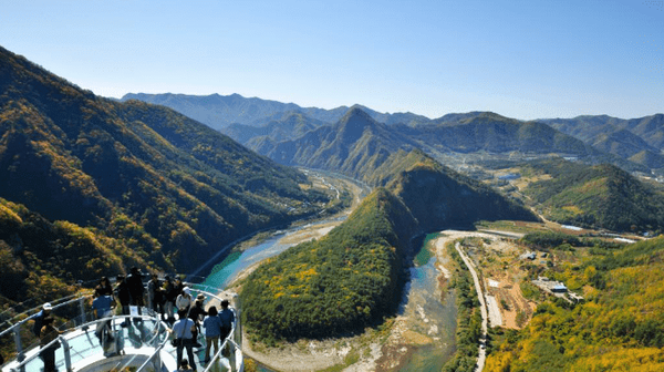 온라인 커뮤니티