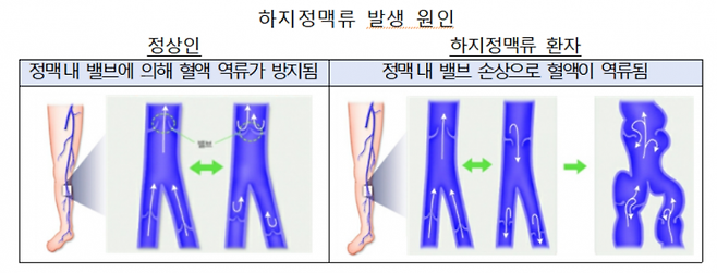 [사진출처=금융감독원]