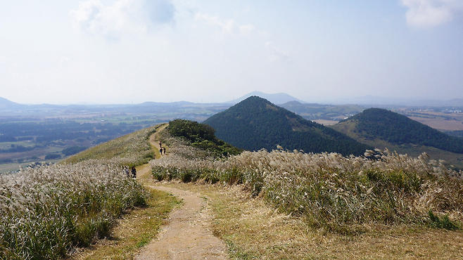 새별오름