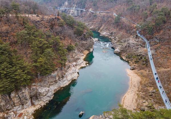 온라인 커뮤니티